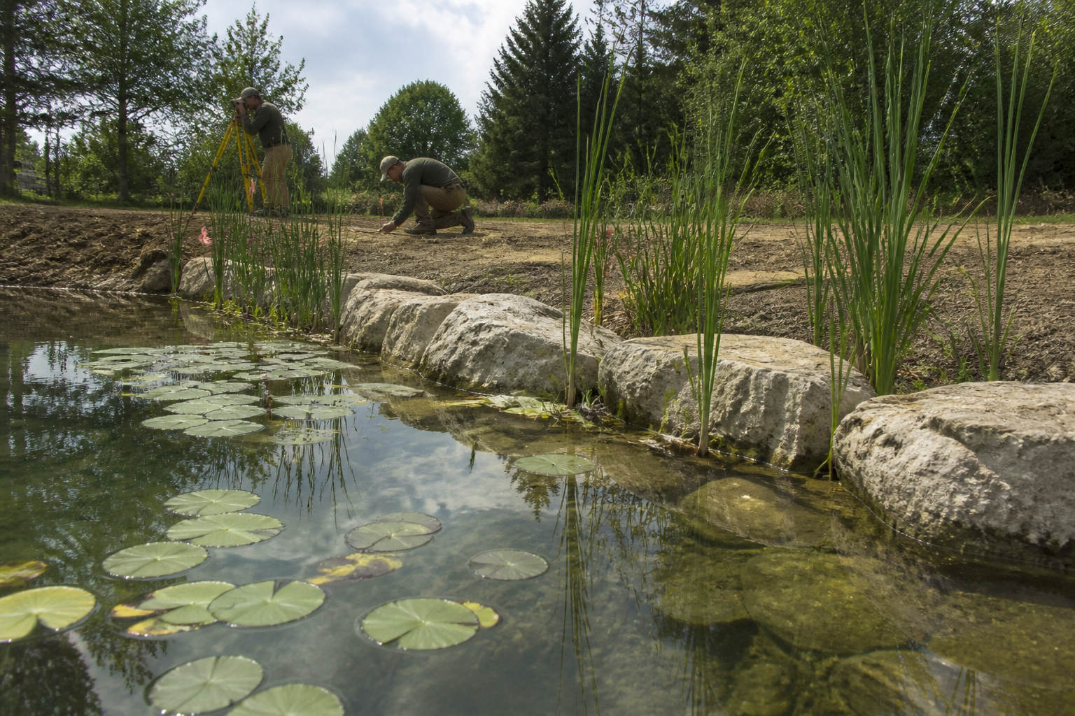 A close-up of a naturalistic pond edge with weathered limestone boulders and water lilies in a Southern Ontario garden.